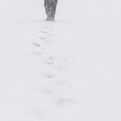 White Out — detail 2