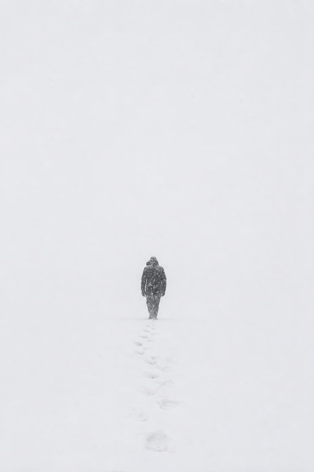 A near-white photograph of a lone figure in a dark hooded coat seen from behind, walking away across an open snowfield in heavy falling snow, with a line of footprints filling in behind them and no visible horizon.